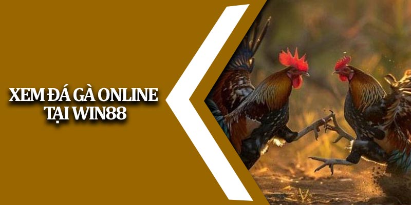 Đá Gà Online